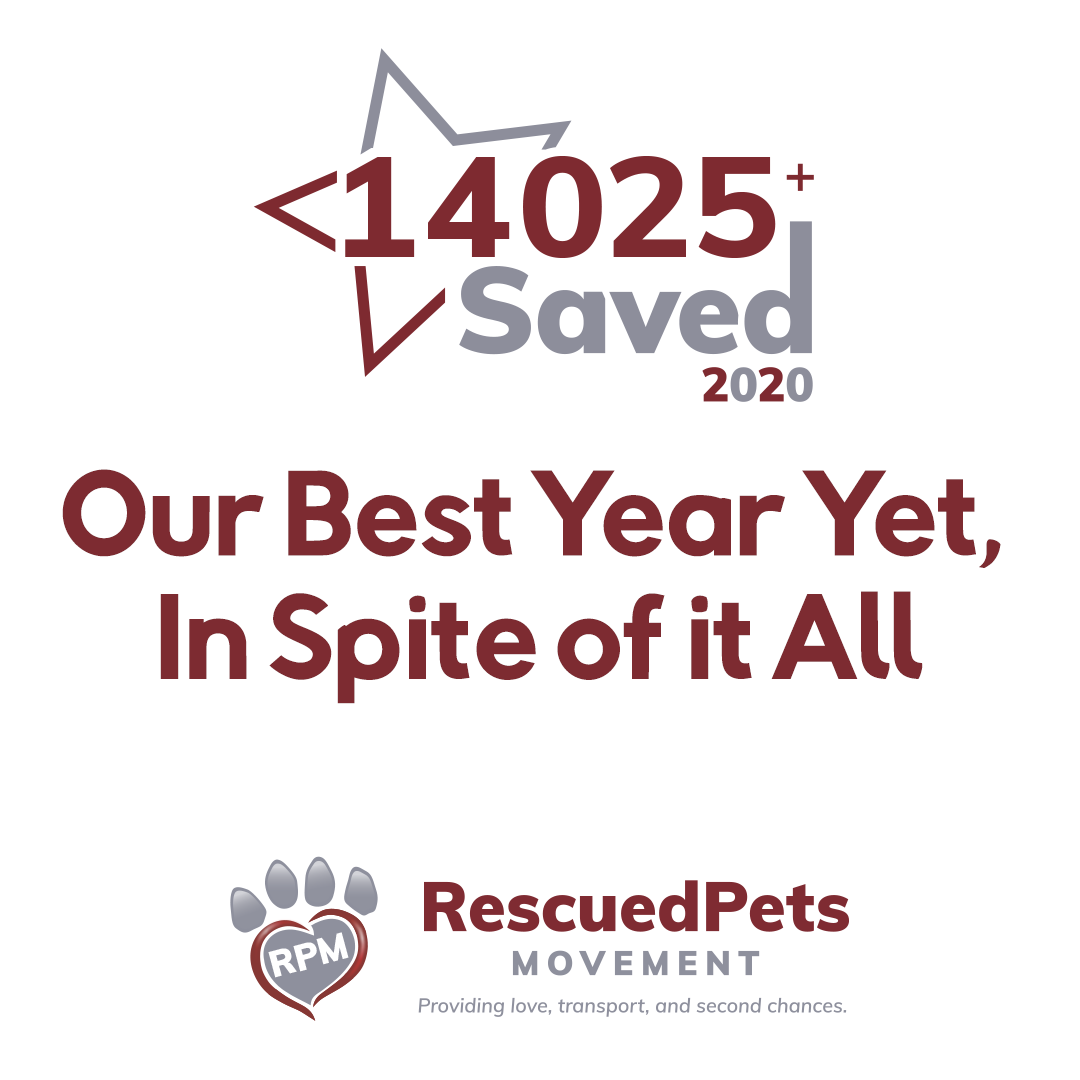 RPM save over 14,000 animals in 2020