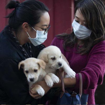 Lance McCullers has a passion for helping animals through pet rescue group