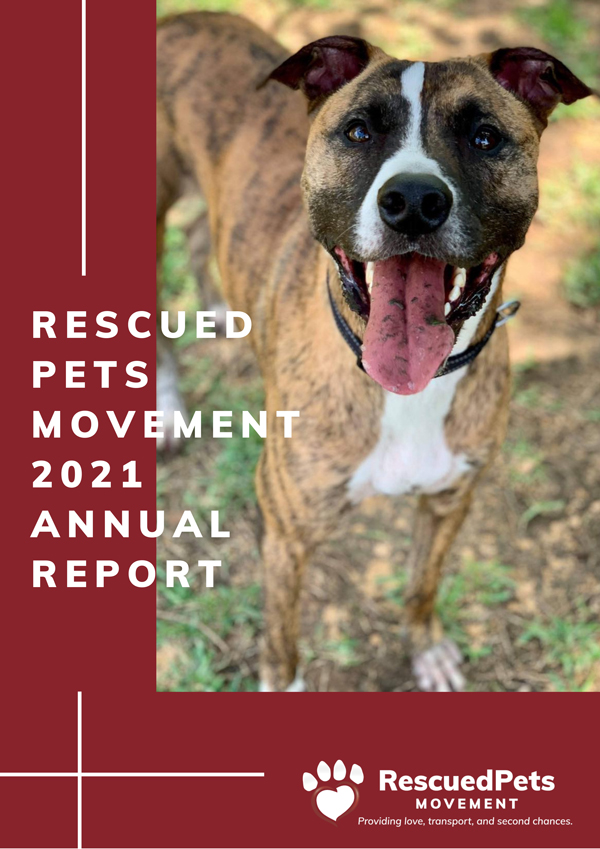 Rescued Pets Movement | Giving Homeless Pets a Second Chance