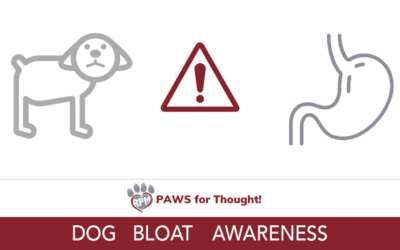 Dog Bloat Awareness