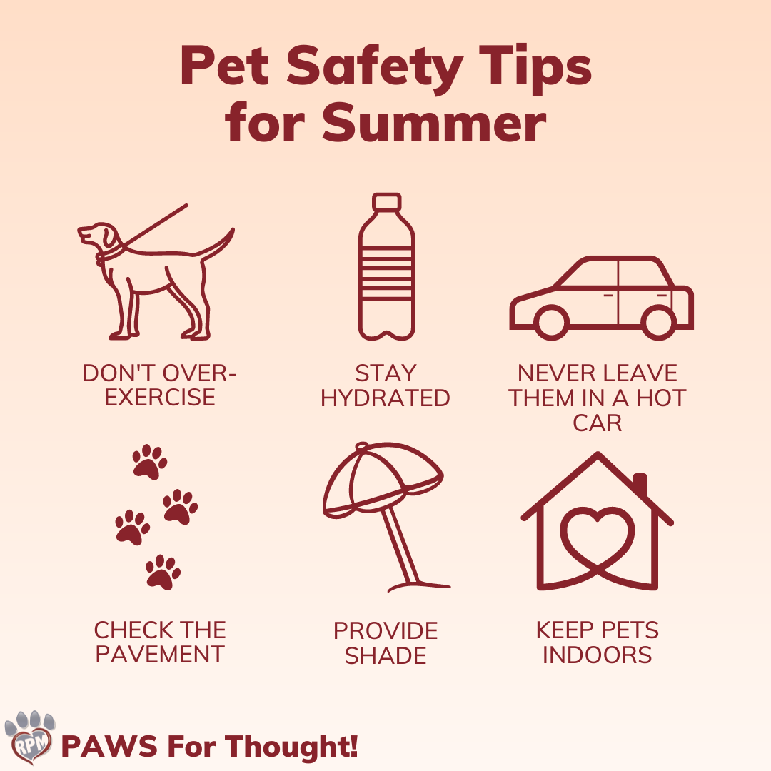 Pet Safety Tips for Summer graphic