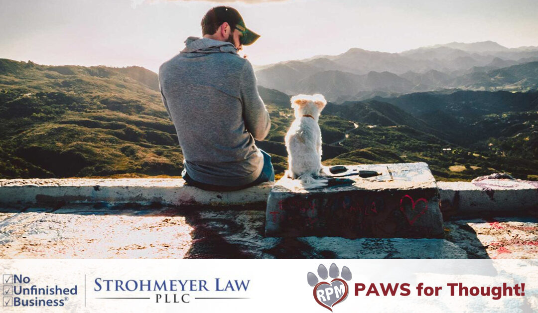 Pet Estate Planning for Your Four-Legged Family Members