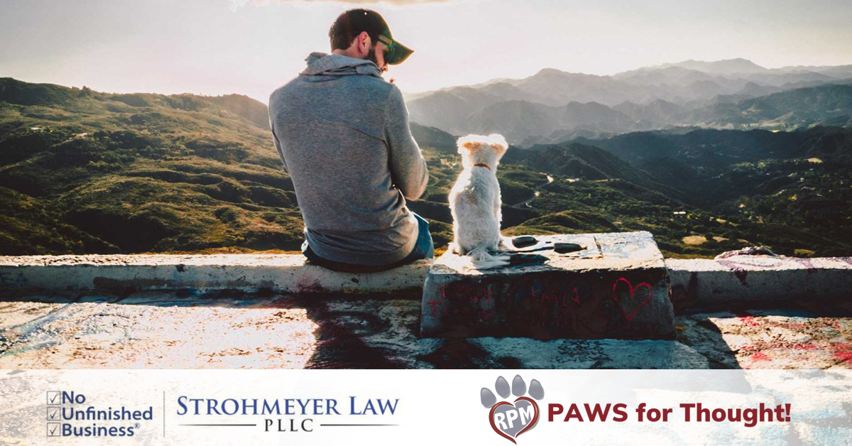 Pet Estate Planning courtesy of Rescued Pets Movement sponsor and friend, Strohmeyer Law