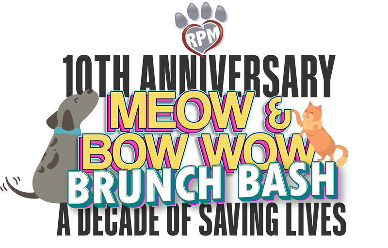 EVENTS! – Paws 4 You Rescue