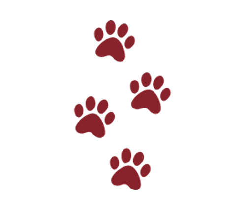 paw prints