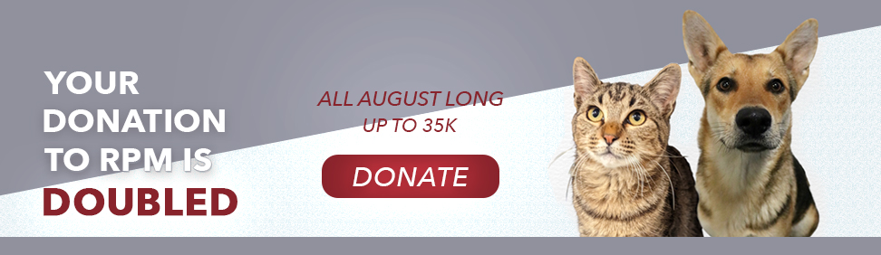 Your donation is doubled up to $35,000 in the month of August