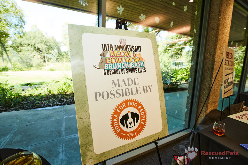 Top Houston Chefs Help Save Dogs and Cats From Death Row — Chefs For Paws  Is No Ordinary Dinner