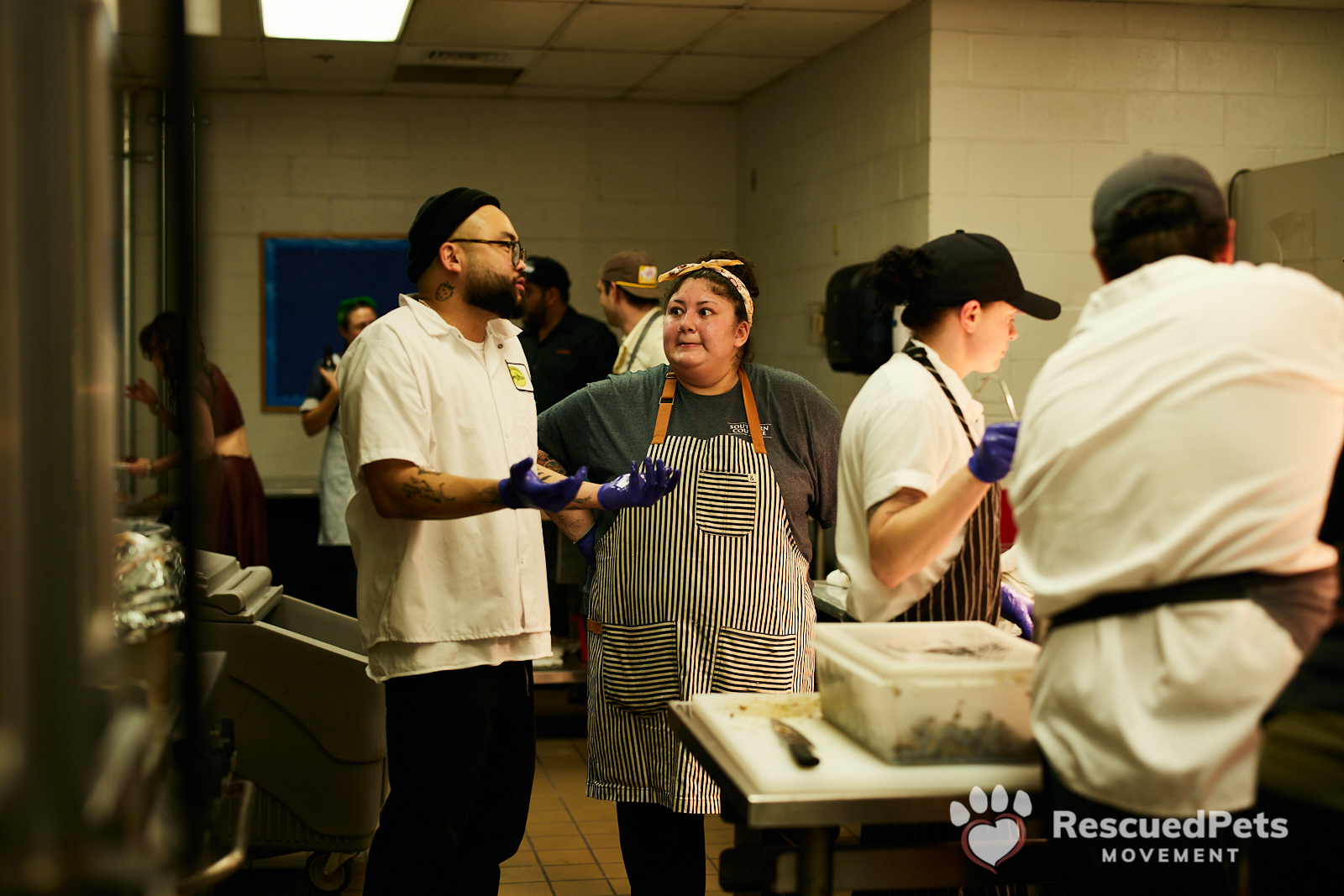 Top Houston Chefs Help Save Dogs and Cats From Death Row — Chefs
