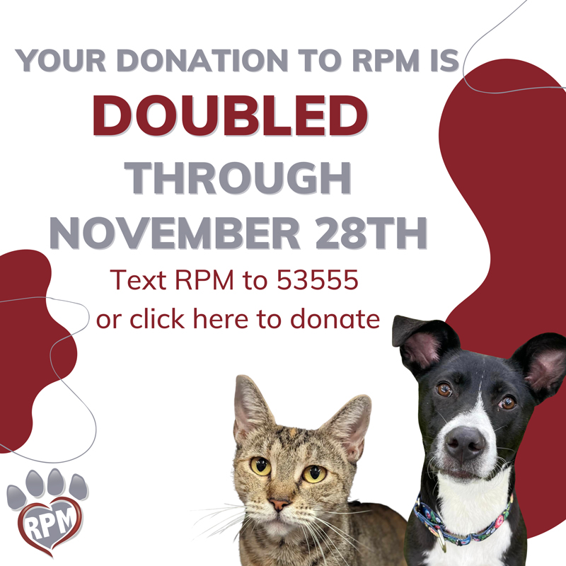 Your donation is doubled through November 28