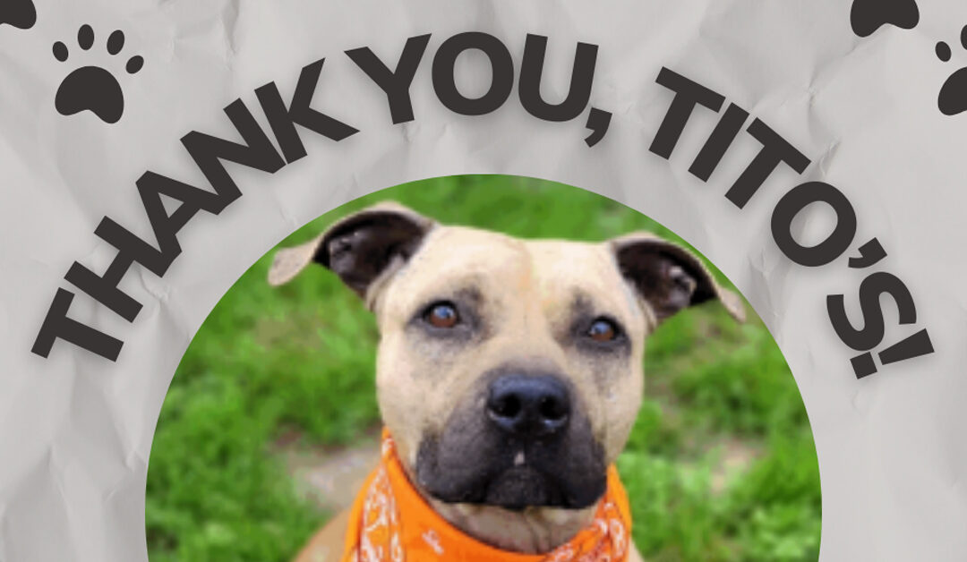 Tito’s Vodka for Dog People: Sharing Drinks and Building Community