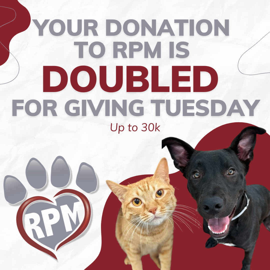 Your donation to RPM is Doubled for Giving Tuesday