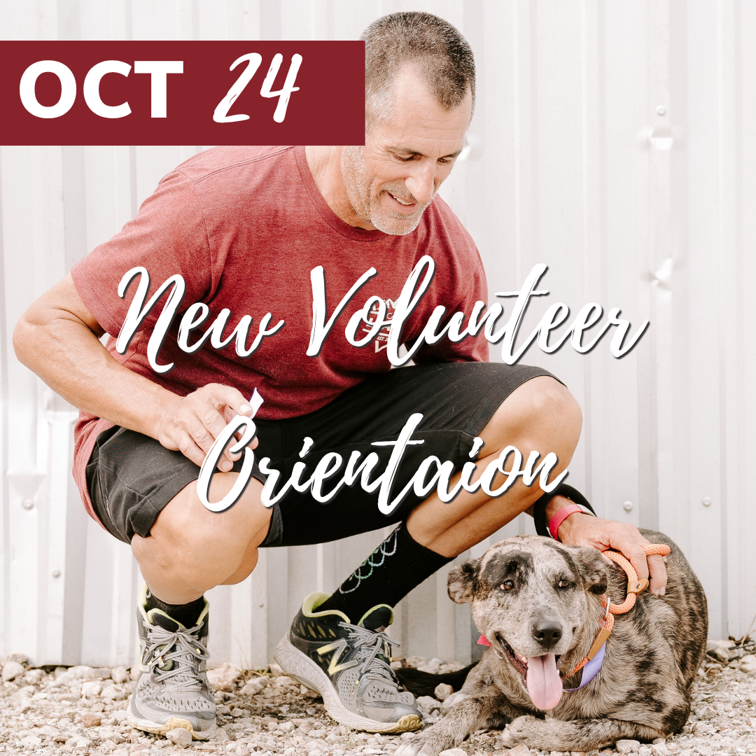 RPM YMCA Fall Festival
